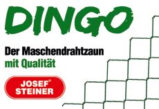 Dingo