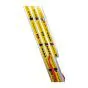 Euro-Light Viacúčelový rebrík 3-dielny mod. 207 - Počet priečok: 3 x 10, Dĺžka stojacieho rebríka: 2,95 m, Dĺžka rebríka stojacieho s nadstavcom: 4,70 m, Dĺžka trojdielneho
oporného rebríka: 6,90 m