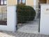 Okrasná plotová brána Barcelona - pozinkované a. vrstva: pozinkované , výška cm: 103, Šírka v cm: 81 oder 104