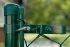 drôtový plot s očkami Dingo – zelený povrch - výška: 1250 mm,  rozmery ôk: 60 mm