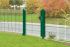 Okrasné ploty Rom  - dĺžka elementu 251 cm - pozinkované a. vrstva: zelená vrstva, výška cm: 123, dĺžka v cm: 251
