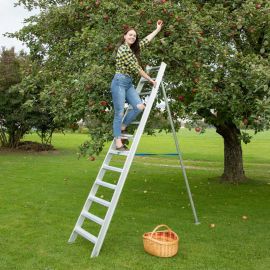 Rebrík na ovocné stromy Mod.999