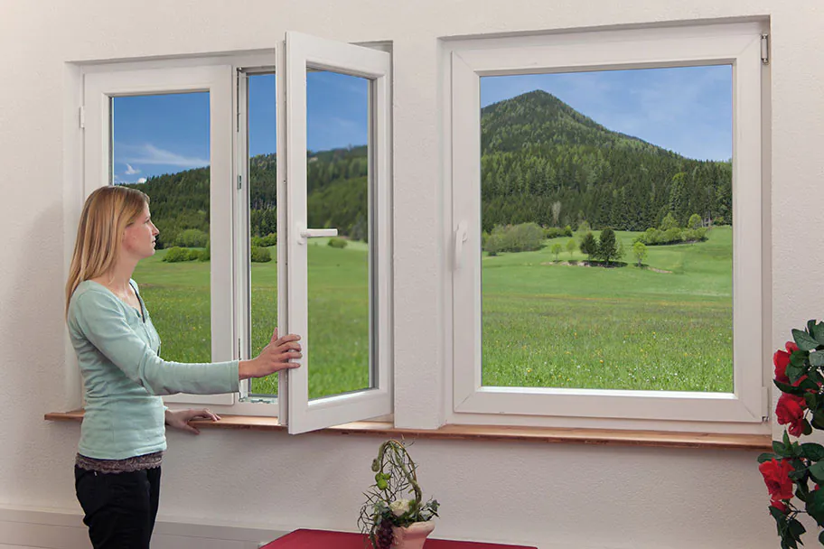 006-Fenster 006-Fenster
